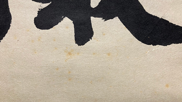 01622 前大徳寺 立花大亀 作 「寂光」掛軸(共箱)茶道具(茶掛/紫野