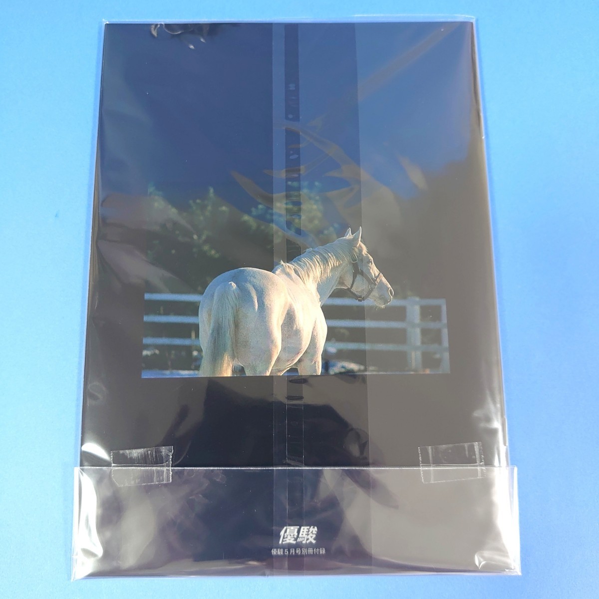 稀少品】オグリキャップ 競馬 ぬいぐるみ ウマ娘 優駿100 稀少品】オグリキャップ 競馬 ぬいぐるみ ウマ娘 優駿100