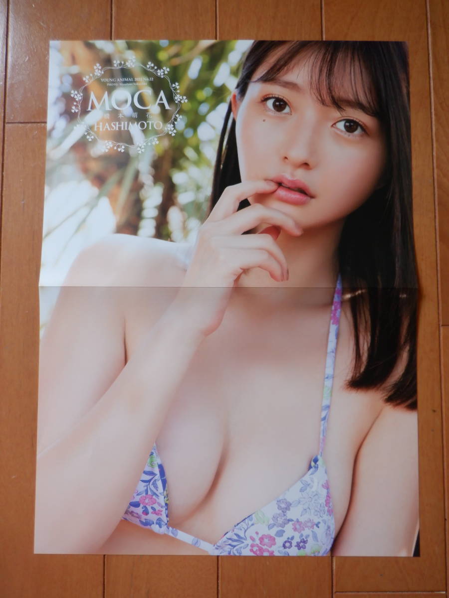 *< не использовался * фотосъемка час вскрыть > двусторонний ванна постер Хасимото . цветок ширина 26 см × вертикальный 36 см стоимость доставки 140 иен 