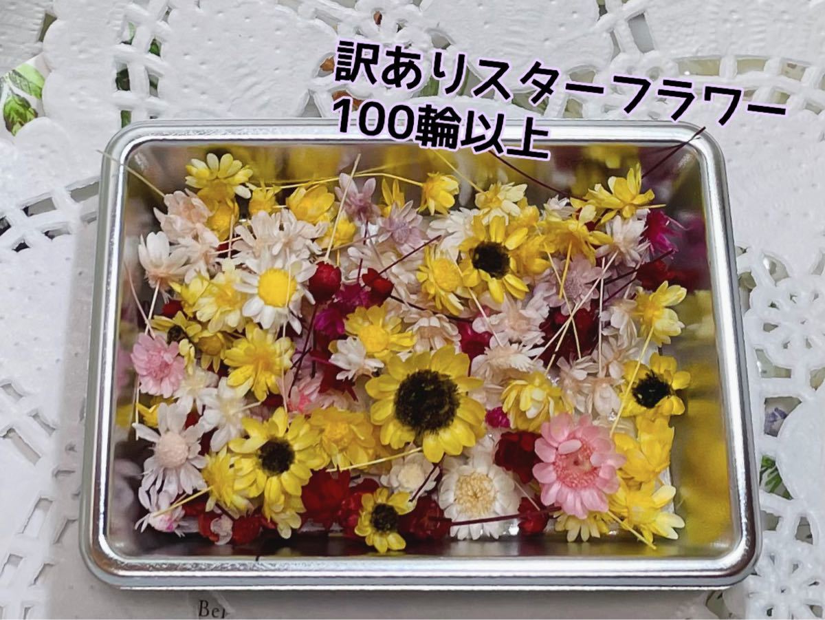 日本製 2ウェイ スターフラワーミニ 加工花材 5種類 通販
