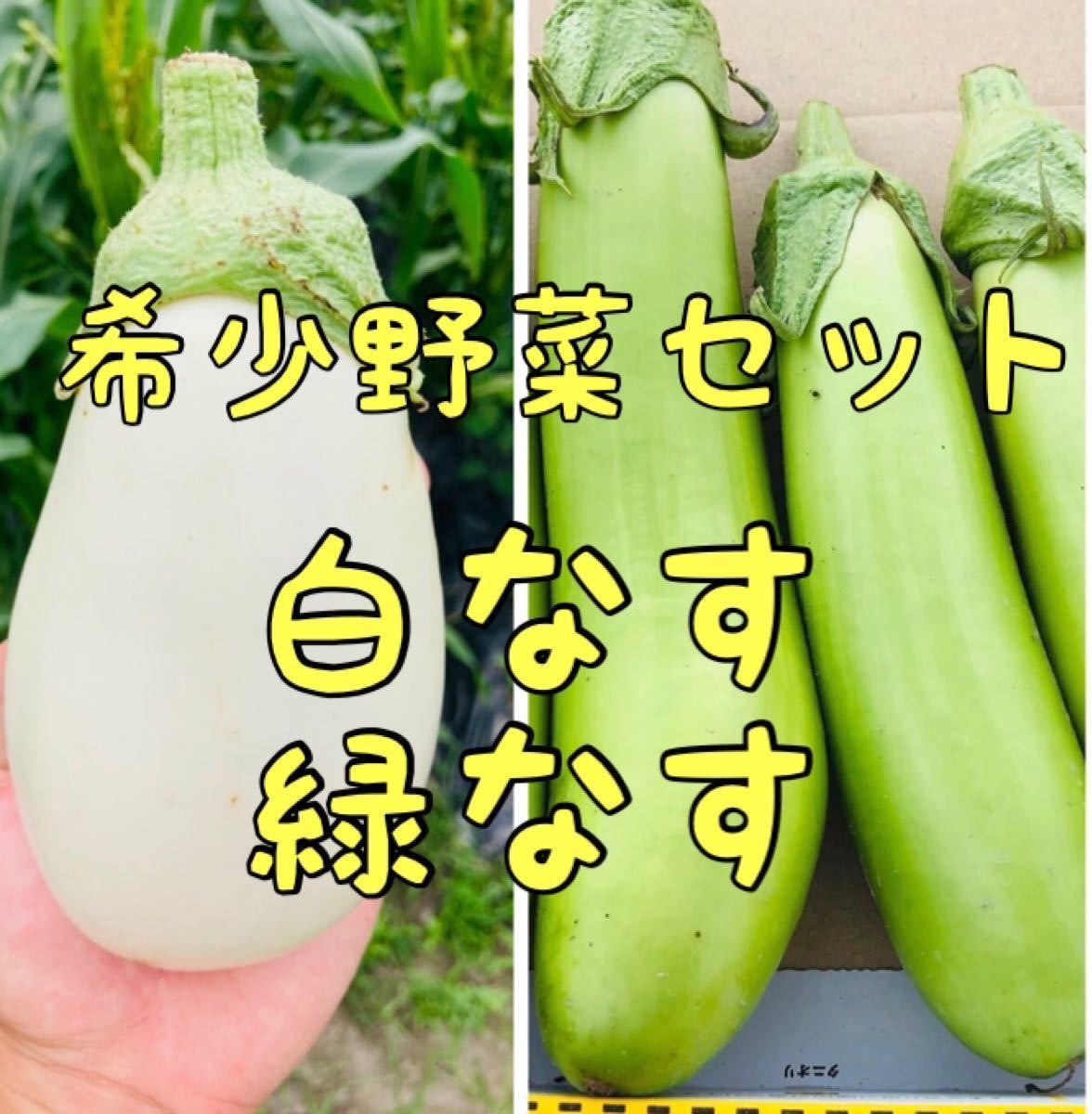 Paypayフリマ 野菜詰め合わせ 白なす 緑なす 80サイズ 野菜 Paypayフリマ 野菜詰め合わせ 白なす 緑なす 80サイズ 野菜