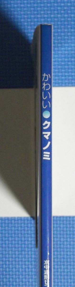 ★かわいいクマノミ★定価1700円＋税★水中造形センター★_画像5