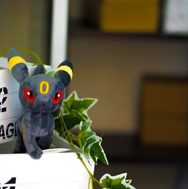 ぬいぐるみ ブラッキー イーブイ 小 ポケモン ぬいぐるみ ブラッキー イーブイ 小 ポケモン