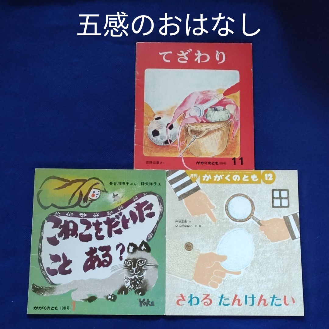 かがくのとも　五感のおはなし　さわるたんけんたい　こねこをだいたことある？　てざわり　 福音館