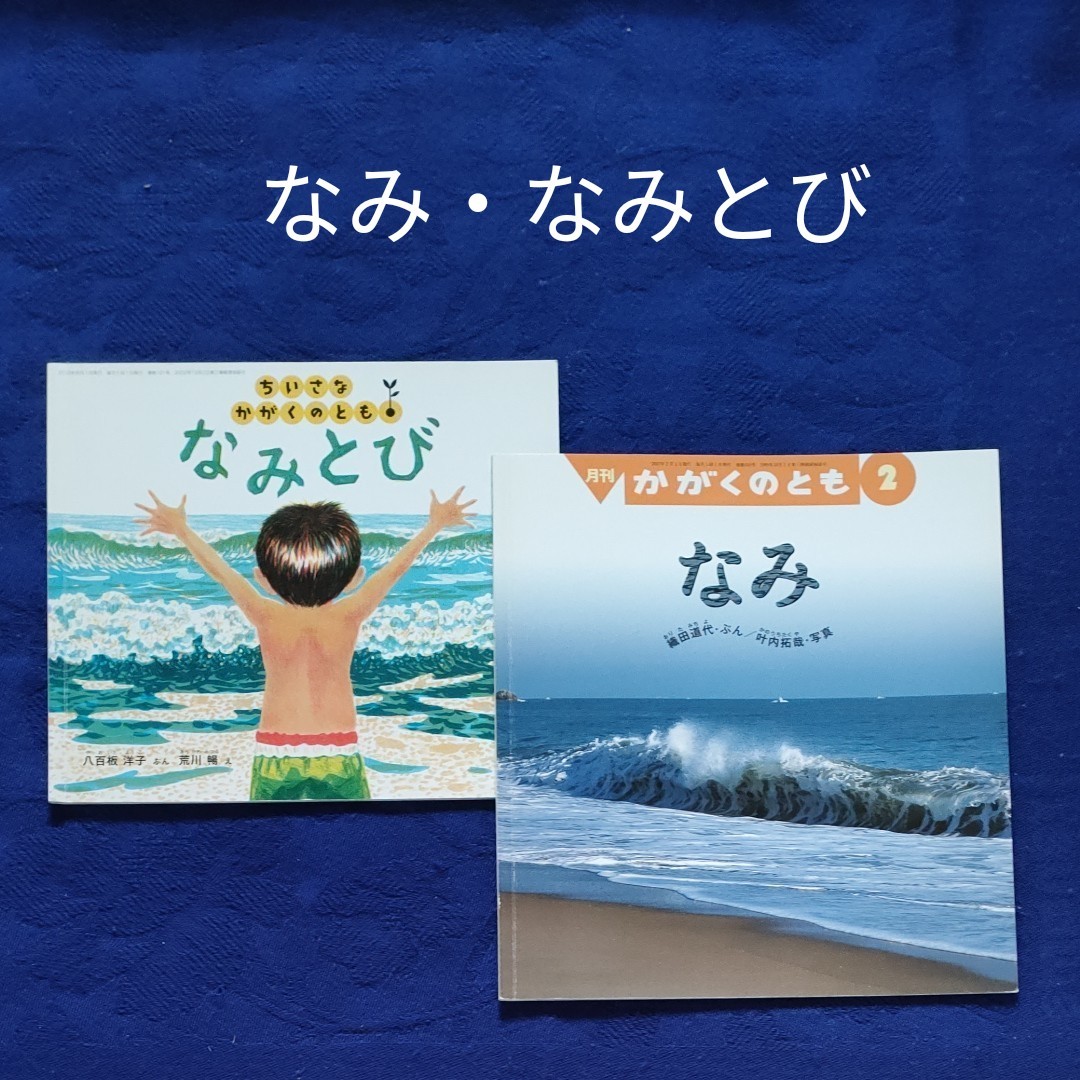 かがくのとも 夏の絵本 なみ&なみとび 福音館