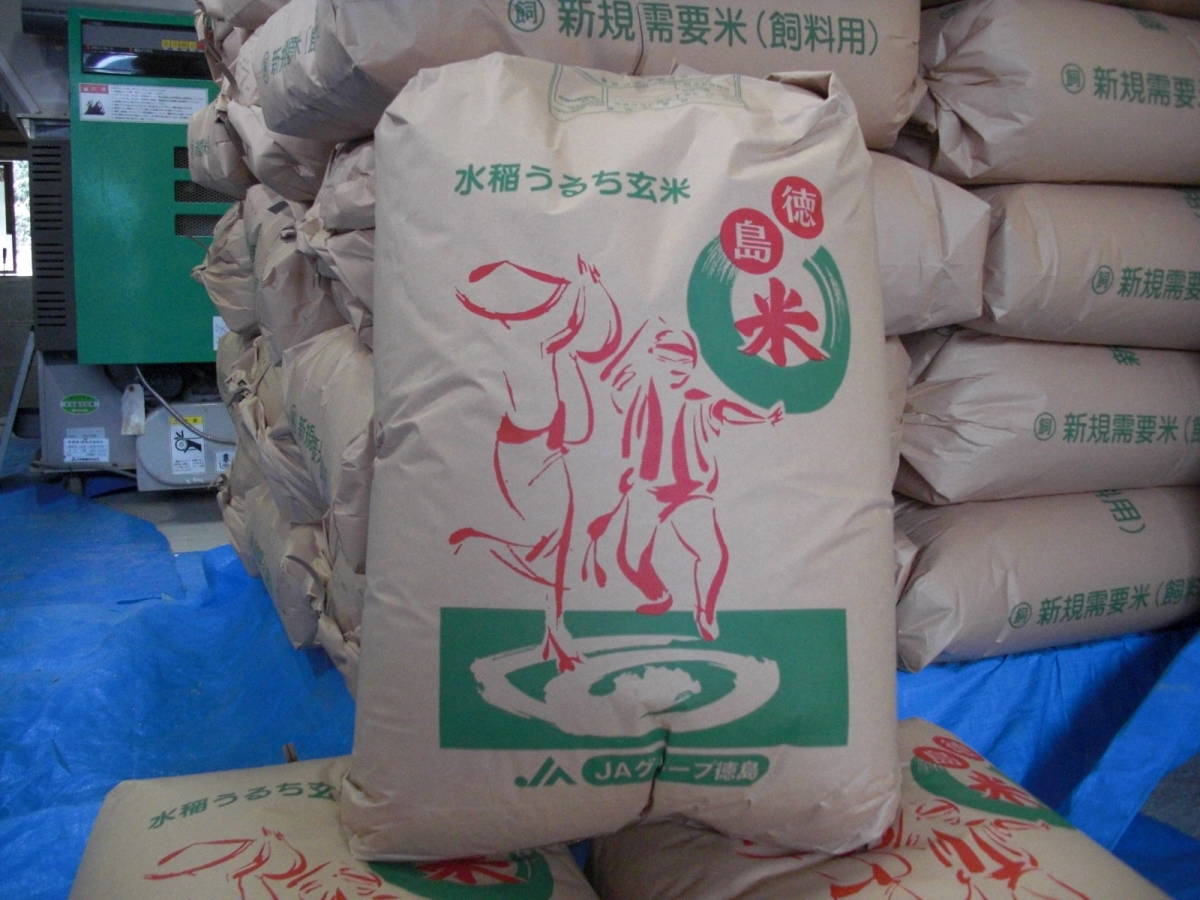 送料無料　令和4年　徳島県産　新米コシヒカリ玄米20kg(2)　_画像3