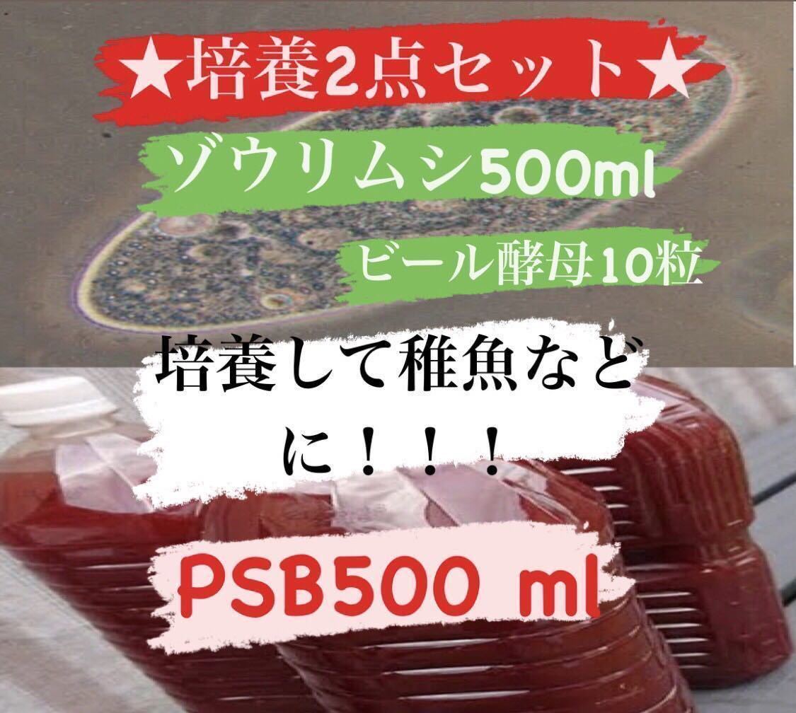 期間限定特別価格 人気度no 1 送料無料 培養2点セット ゾウリムシ500ml