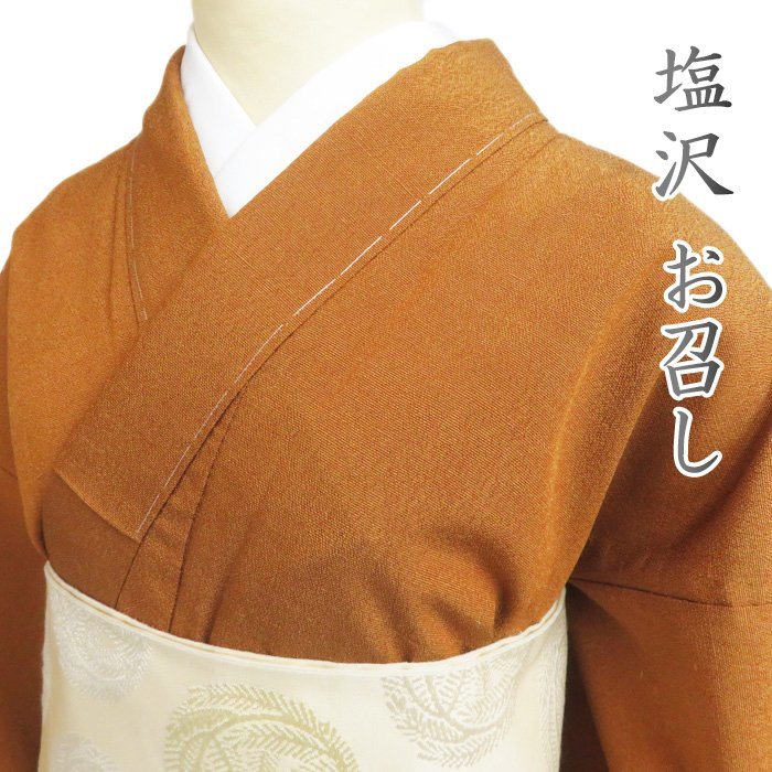 ☆きもの北條☆特選 林宗平 単衣 本塩沢 御召し お召し ラベル付き