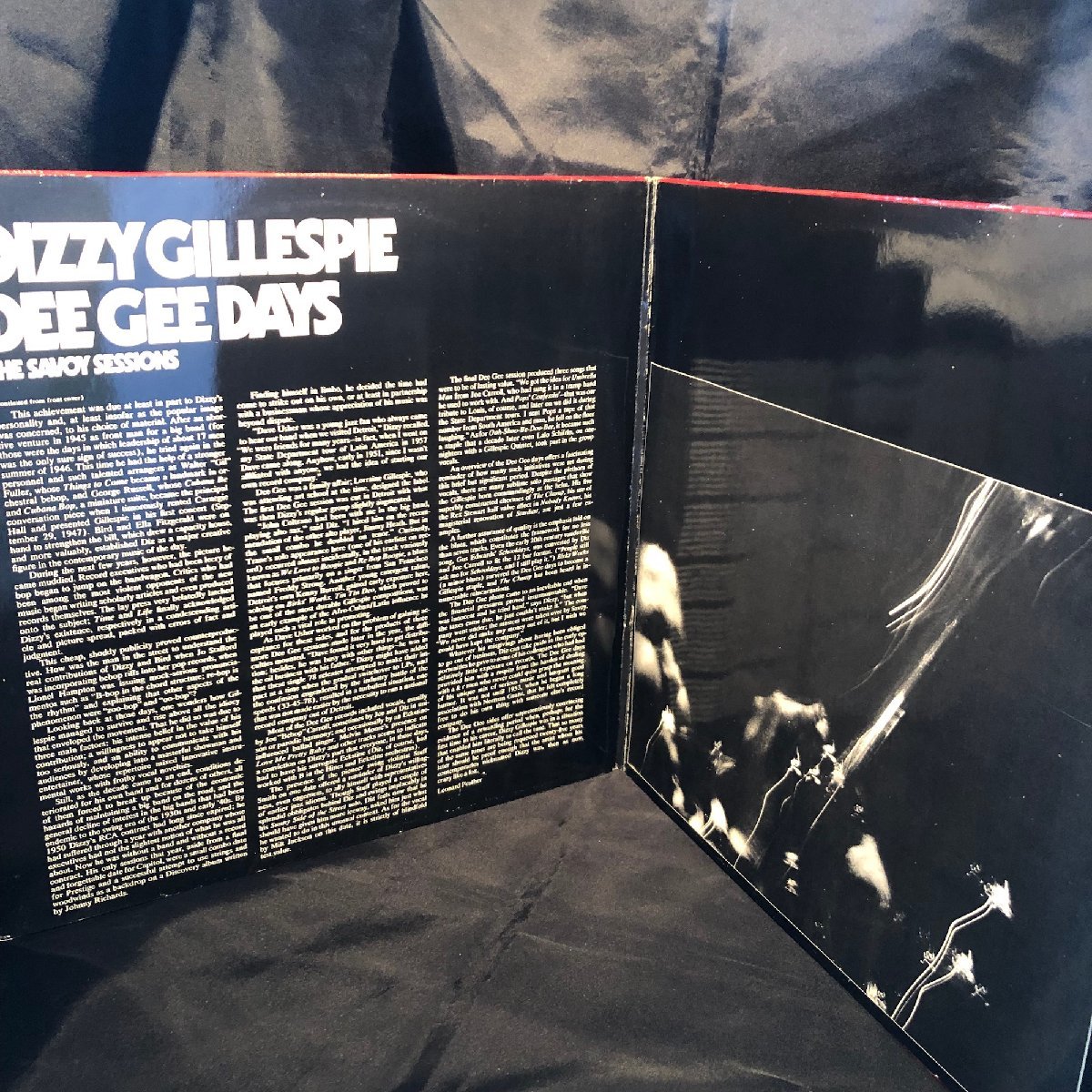 Dizzy Gillespie / Dee Gee Days 2LP Savoy Jazz_画像3