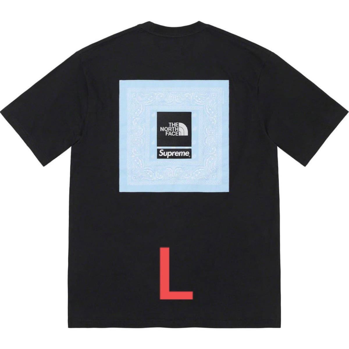 ベルギー製 【新品未使用】THE NORTH FACE×Supreme TEE Lサイズ - 通販