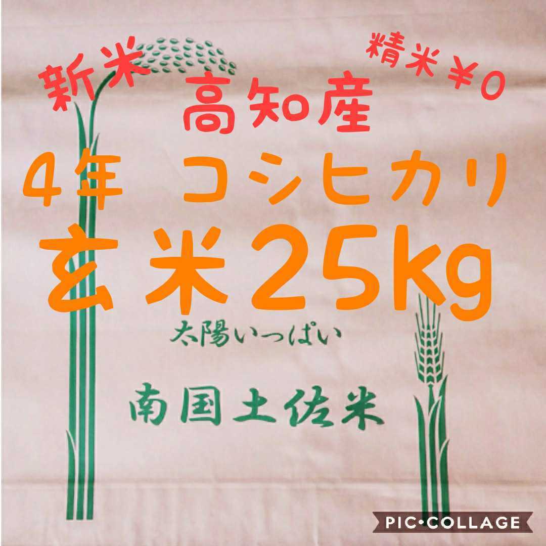 送料込み 令和4年産 高知県産 コシヒカリ 玄米25㎏(袋込み)