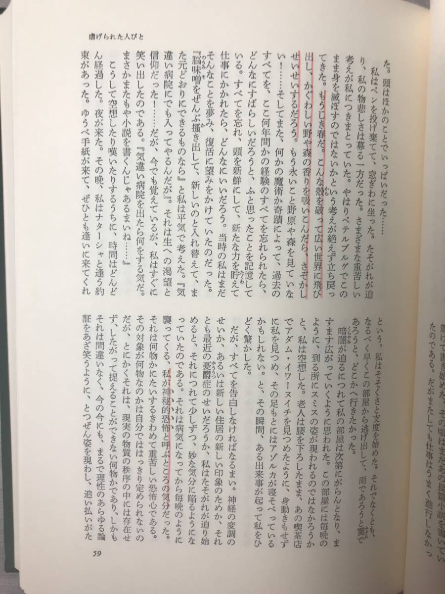 H　送料無料　ドストエフスキー全集　決定版　1～27巻　別巻　全28冊セット　新潮社_4巻