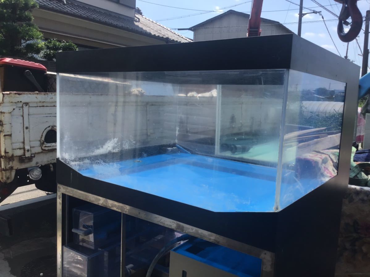 激安!! 活魚水槽 | www.ddechuquisaca.gob.bo