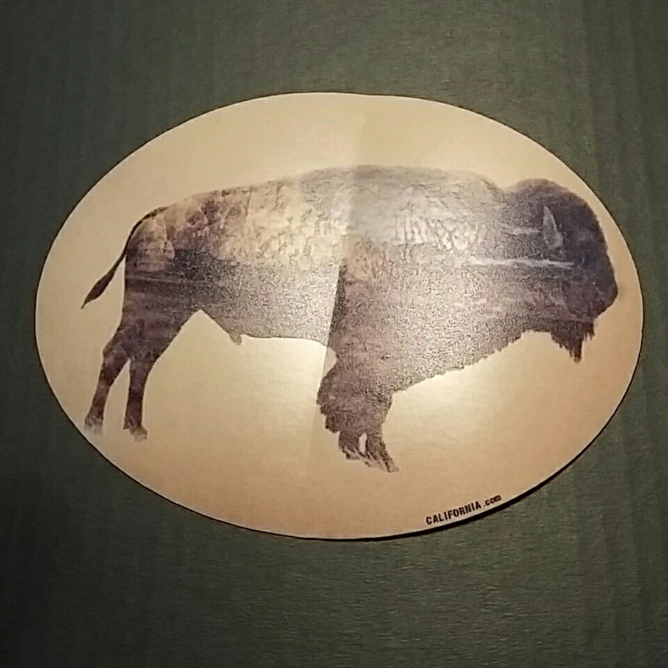  Buffalo стикер California 
