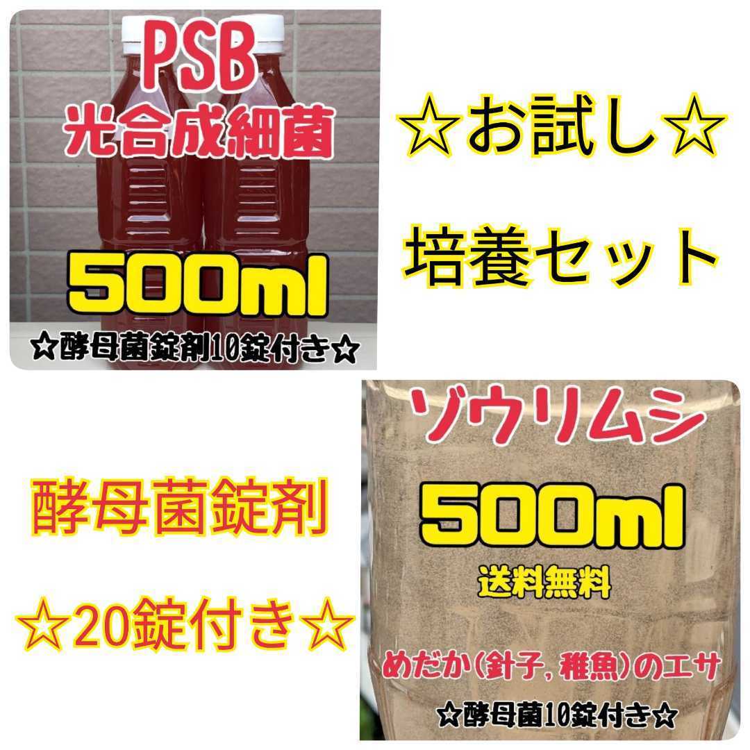 【ゾウリムシ種水500ml】 金魚やグッピー、メダカの針子や稚魚のえさ 【PSB 光合成細菌500ml】☆培養セット☆酵母菌錠剤20錠つき_画像1