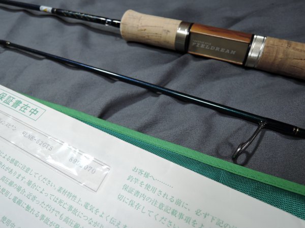 スミス(SMITH) フィールドリーム ノイエEV FLNE-62GTS グラス スミス(SMITH) フィールドリーム ノイエEV FLNE-62GTS グラス