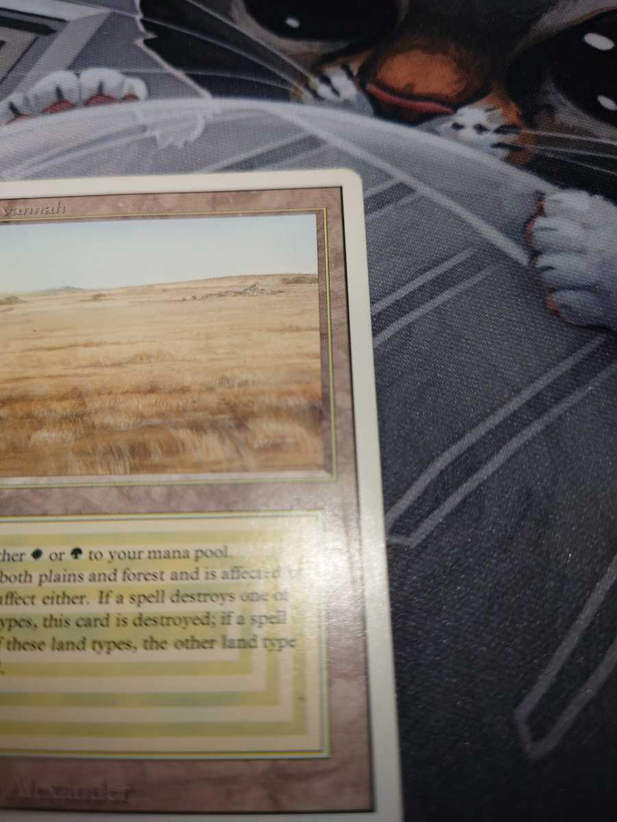 MTG 3ED savannah 英語版 サバンナ リバイズド | www.avredentor.com.br