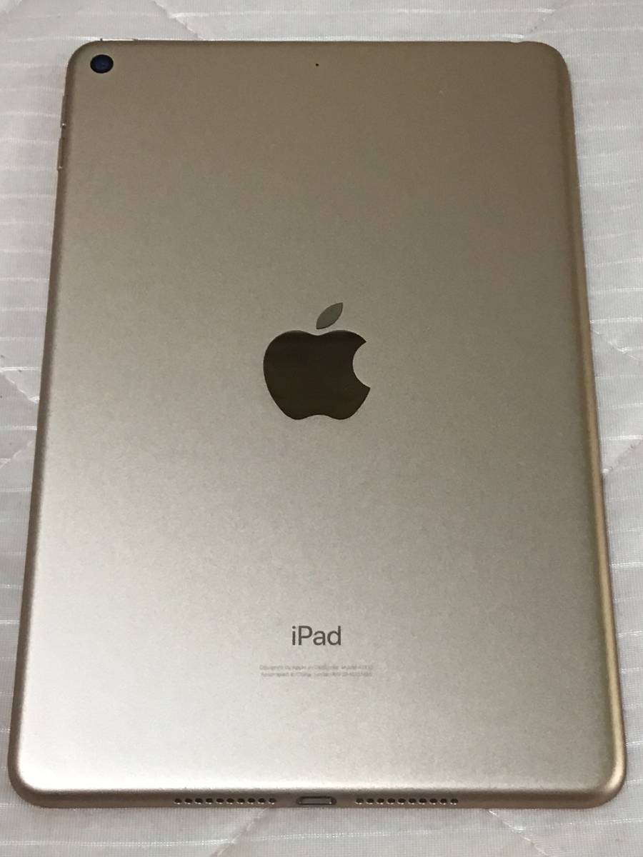 iPad mini 第5世代 64GB wifiモデル ゴールド ケース付き 自宅使用