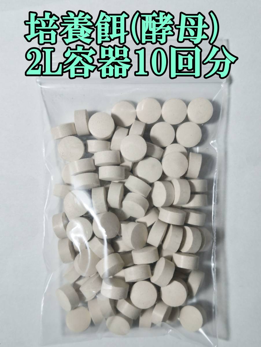 【☆匿名配送☆ゾウリムシ 種水800ml ◆培養餌20L分◆培養方法付き (メダカ 金魚の稚魚、ミジンコの餌に PSBでも増殖)】_画像2