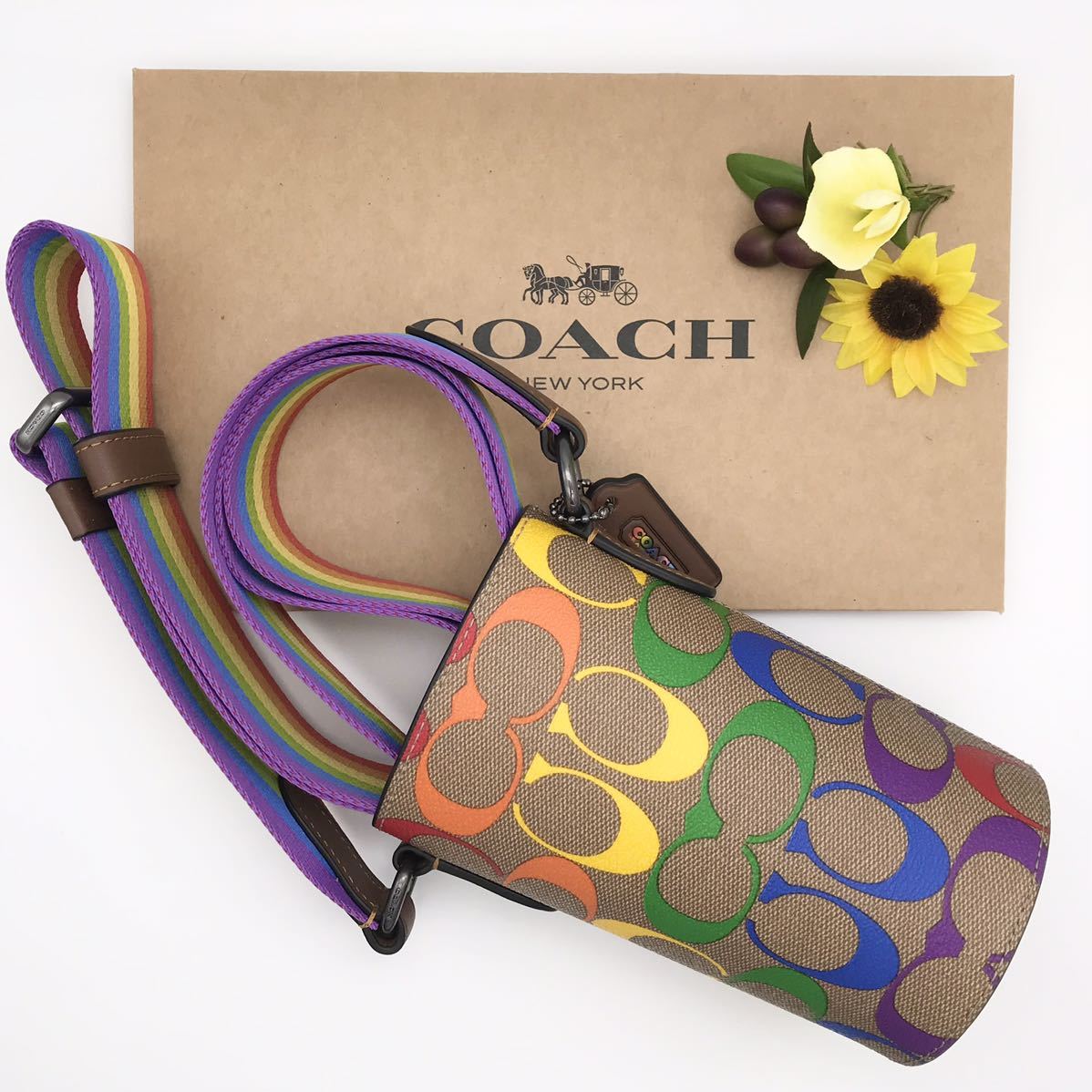 COACH ★大人気★ ウォーター ボトル クロスボディ レインボー シグネチャー キャンバス ペットボトルケース 新品
