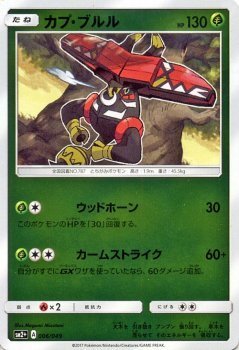 ポケモンカードゲームSM/カプ・ブルル/新たなる試練の向こう_画像1