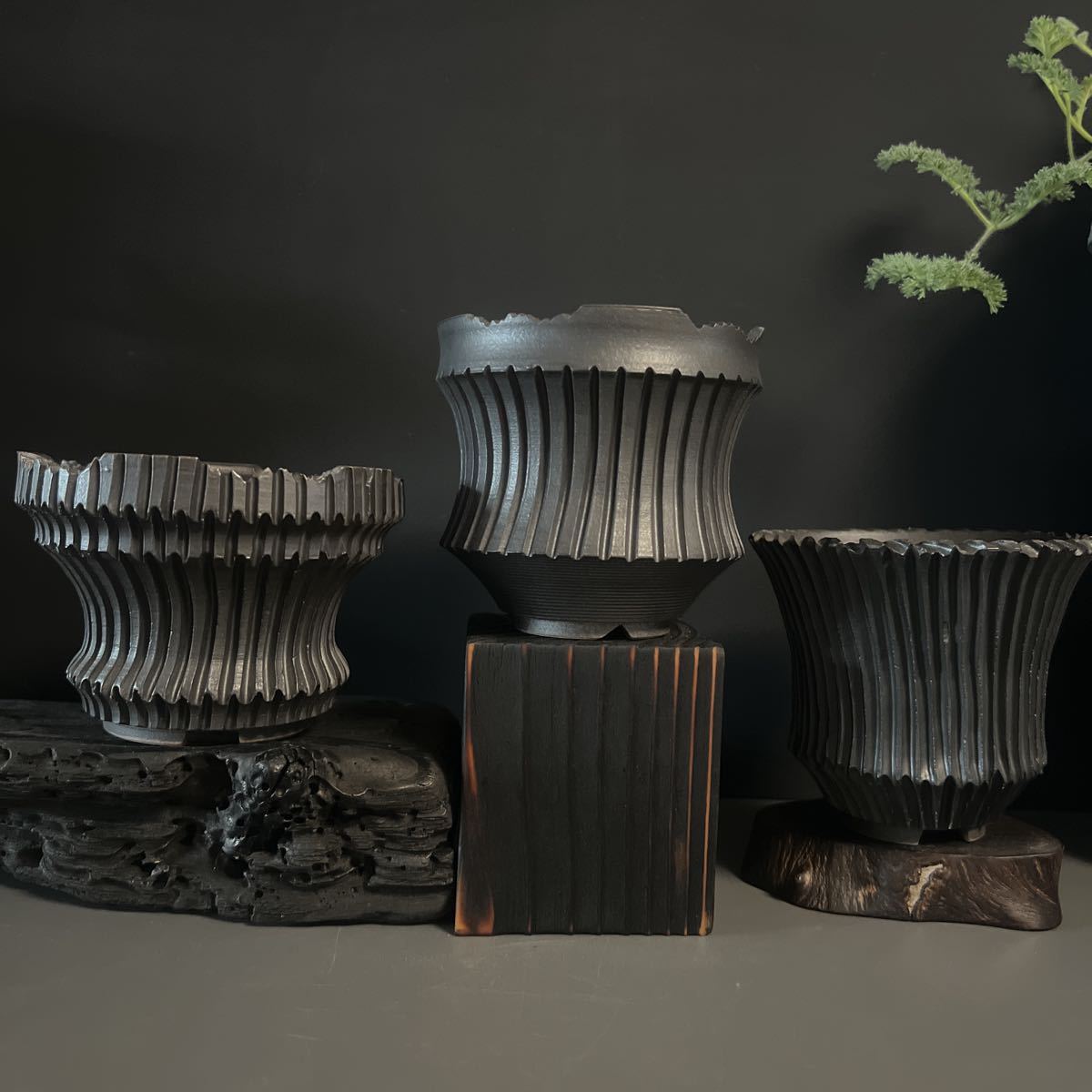最安値挑戦! 手作り RLF 植木鉢 手作り LLLサイズ検索(塊根植物