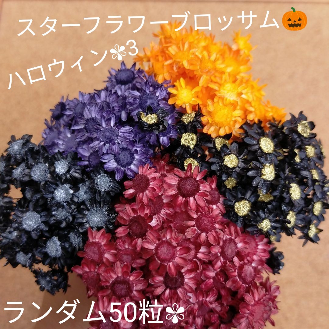 ハーバリウムボールペン　レジン アクセサリー 花材 スターフラワー　ハロウィン3