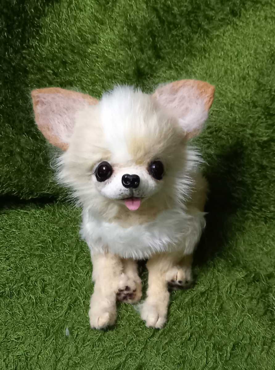 実物大 チワワ ペット 犬 ぬいぐるみ 作家 羊毛フェルト 実物大 チワワ ペット 犬 ぬいぐるみ 作家 羊毛フェルト