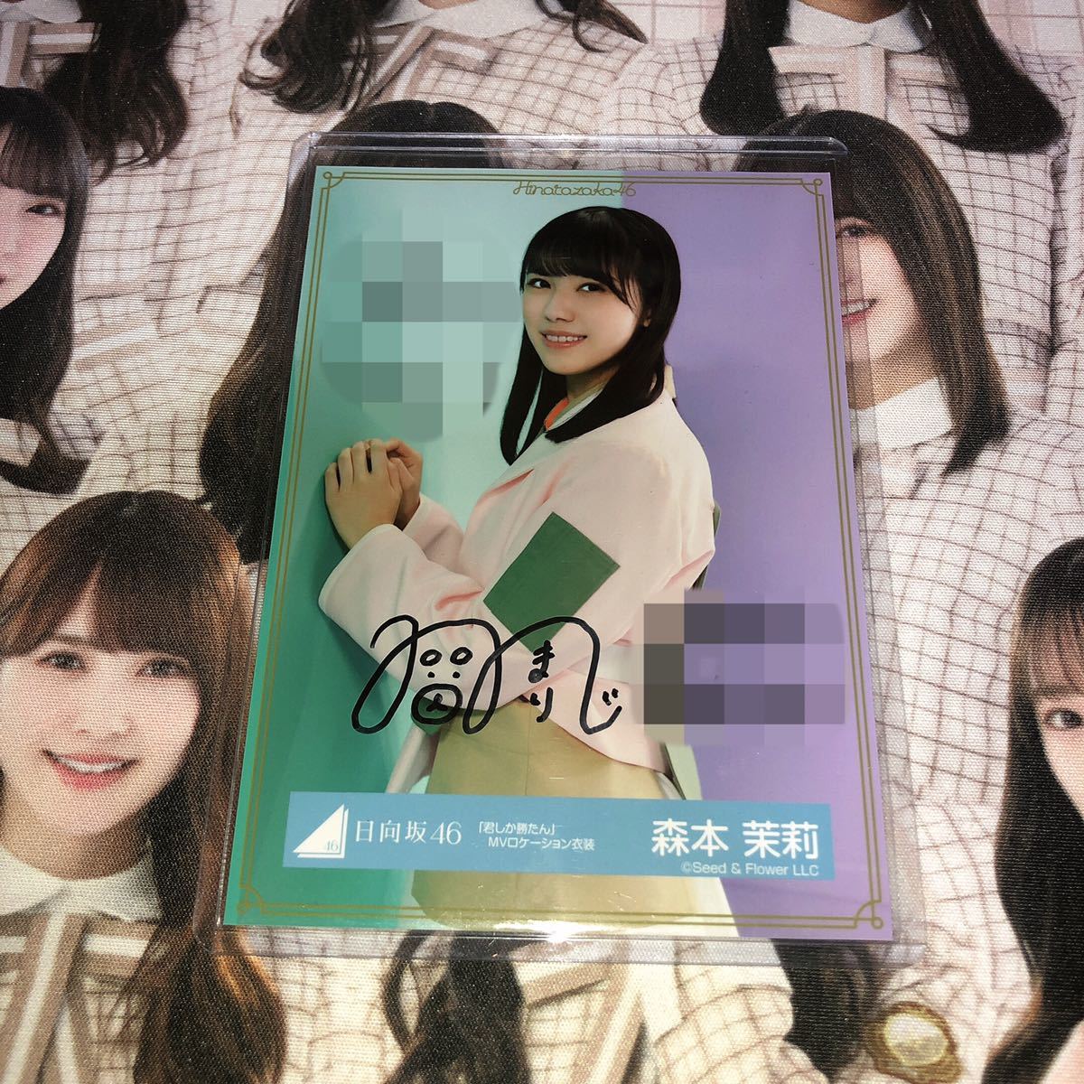 日向坂46 君しか勝たん 直筆 ポスター 日向坂46 君しか勝たん 直筆 ポスター