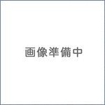 三洋純正パーツ　エアコン用リモコン　RCS-EA1　6233125428　SANYO(中古品)