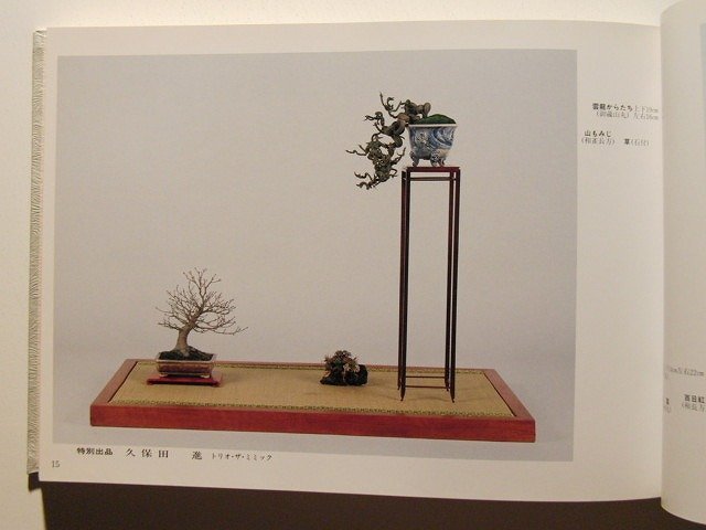  no. 17 раз . способ выставка shohin bonsai сиденье орнамент сборник * новое время выпускать / эпоха Heisei 3 год 