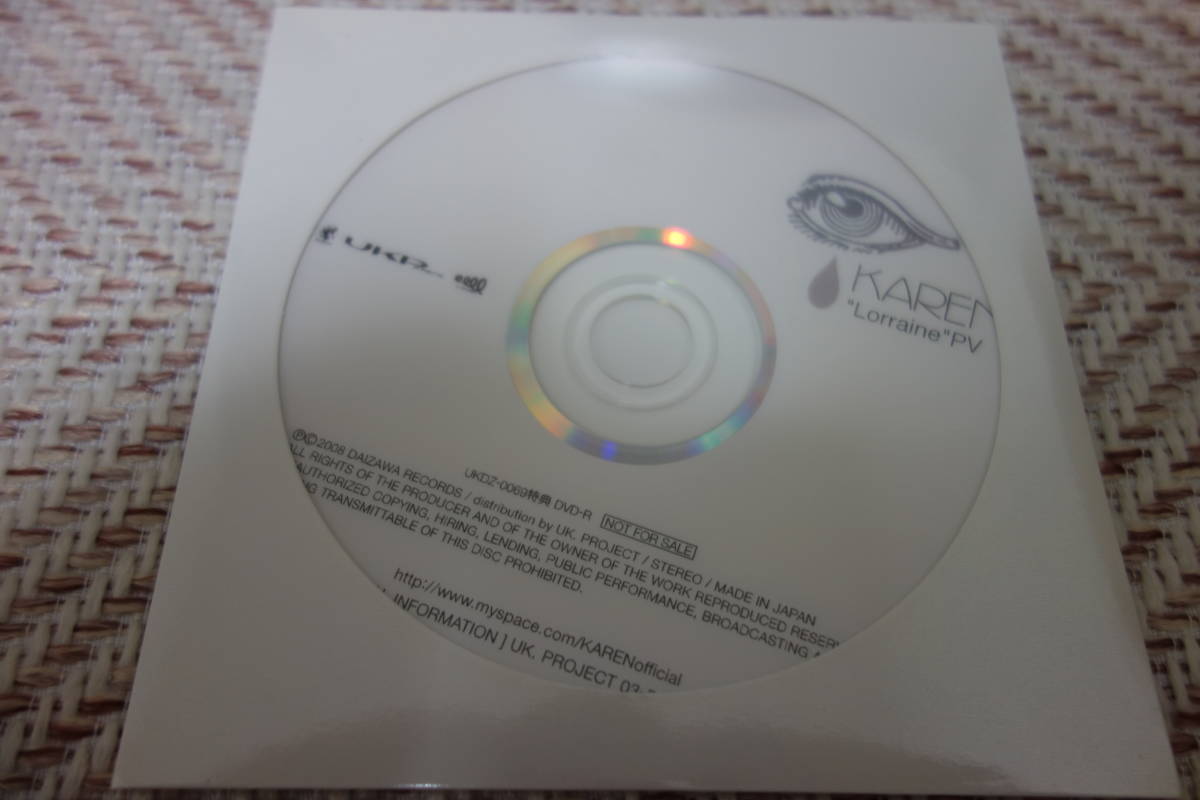 KAREN [maggot in tears. привилегия DVD-R] ART-SCHOOL WUJA BIN BIN downy