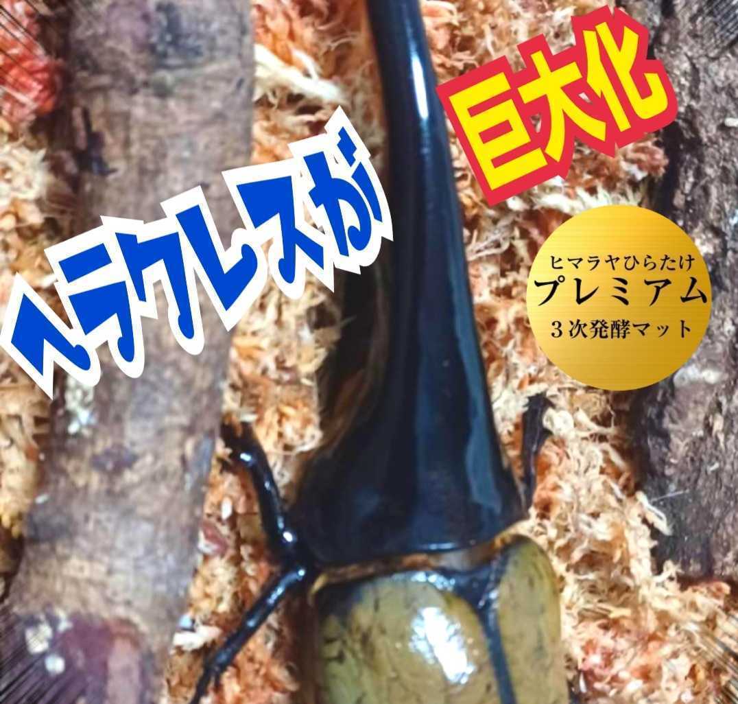 驚きの価格 ヘラクレスに抜群!進化した!プレミアム3次発酵カブトムシ
