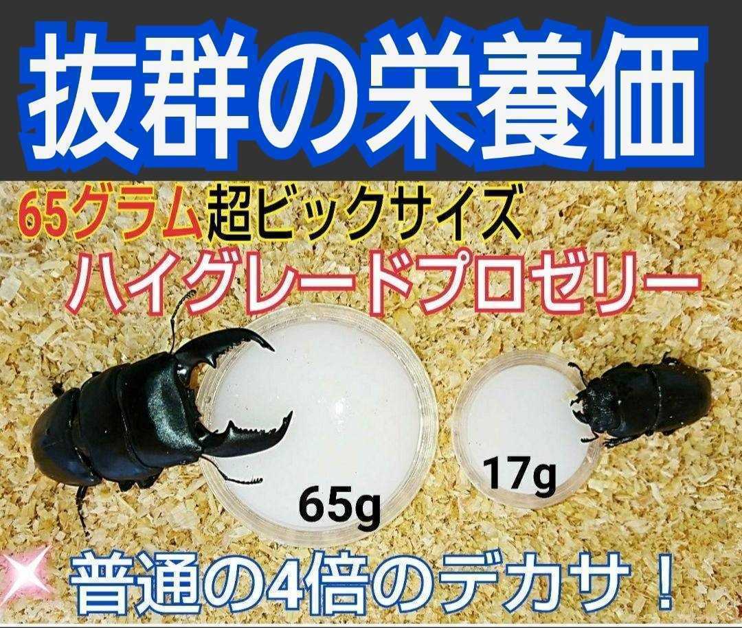 めちゃデカイ！65gハイグレードプロゼリー特大サイズ50個☆通常の4倍！トレハロース増量！産卵促進・長寿・体力増進に☆栄養価抜群プロ仕様_画像6