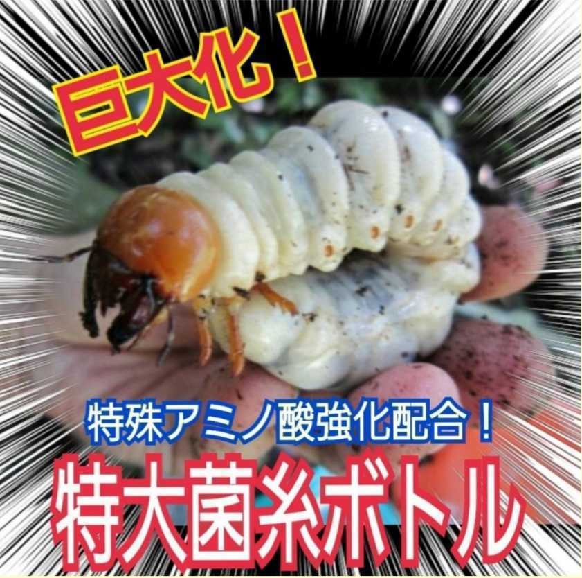 大型クワガタ羽化専用☆2300ml超特大サイズ☆ヒマラヤひらたけ菌糸瓶【4本】特殊アミノ酸強化！ギネス狙いに！中がよく見えるクリアボトル