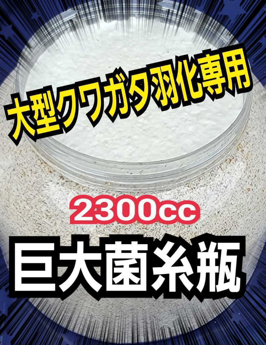独特の素材 大型クワガタ羽化専用☆2300ml超特大サイズ☆ヒマラヤひらたけ菌糸瓶【4本】特殊アミノ酸強化!ギネス狙いに!中がよく見えるクリアボトル セット 独特の素材 大型クワガタ羽化専用☆2300ml超特大サイズ☆ヒマラヤひらたけ菌糸瓶【4本】特殊アミノ酸強化!ギネス狙いに!中がよく見えるクリアボトル セット