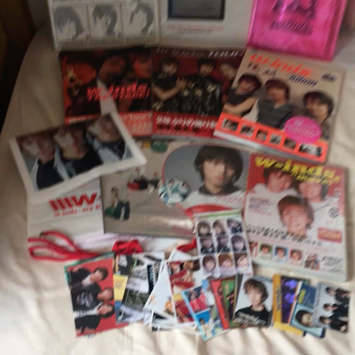 w-inds 写真集 パンフレット まとめ売り