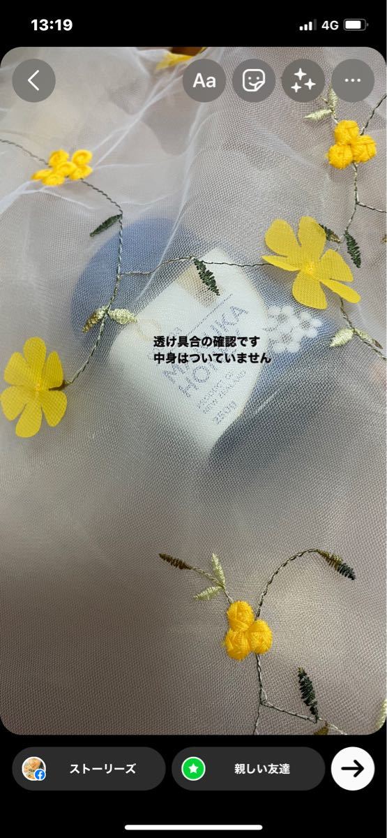 オーガンジー刺繍エコバッグ かわいい おしゃれ 花刺繍 オーガンジー 刺繍バッグ シースルーエコバッグ エコバッグ トートバッグ 