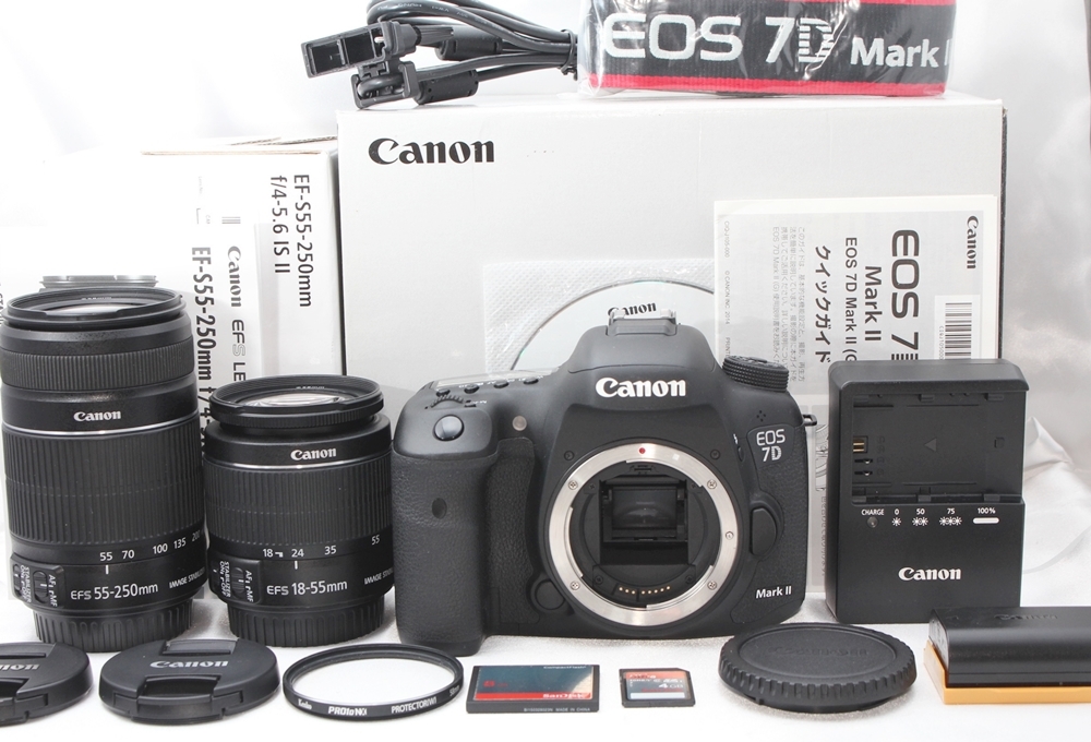 限定 超極上 手ブレ補正 SanDisk Kenko ダブルズームレンズ Canon EOS 業務用卸値 10月23日限定 Canon EF-S18-55mm & 55-250mm IS レンズ(ズーム)