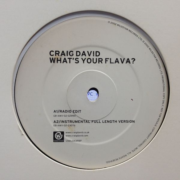 12inchレコード CRAIG DAVID / WHAT'S YOUR FLAVA? Feat. TWISTA_画像1