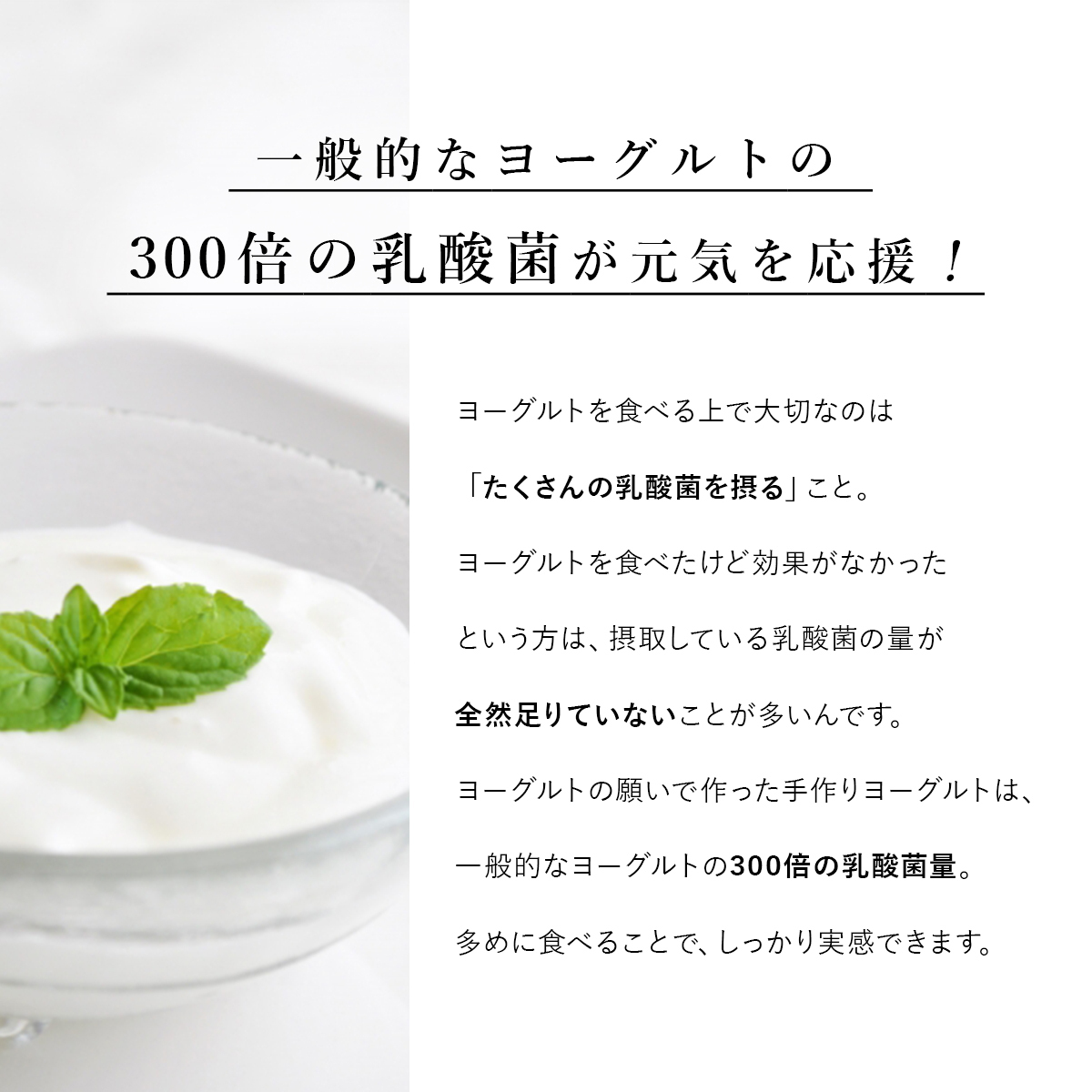 ヨーグルトの願い 1g×5包 カスピ海 ヨーグルト 種菌 たね菌 種 カスピ海ヨーグルト クレモリス菌_画像3