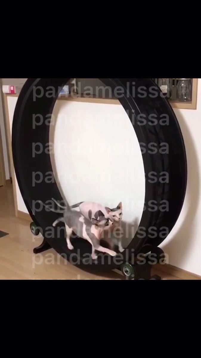 猫ちゃん用エクササイズ キャットエクササイズホイール ブラック 猫