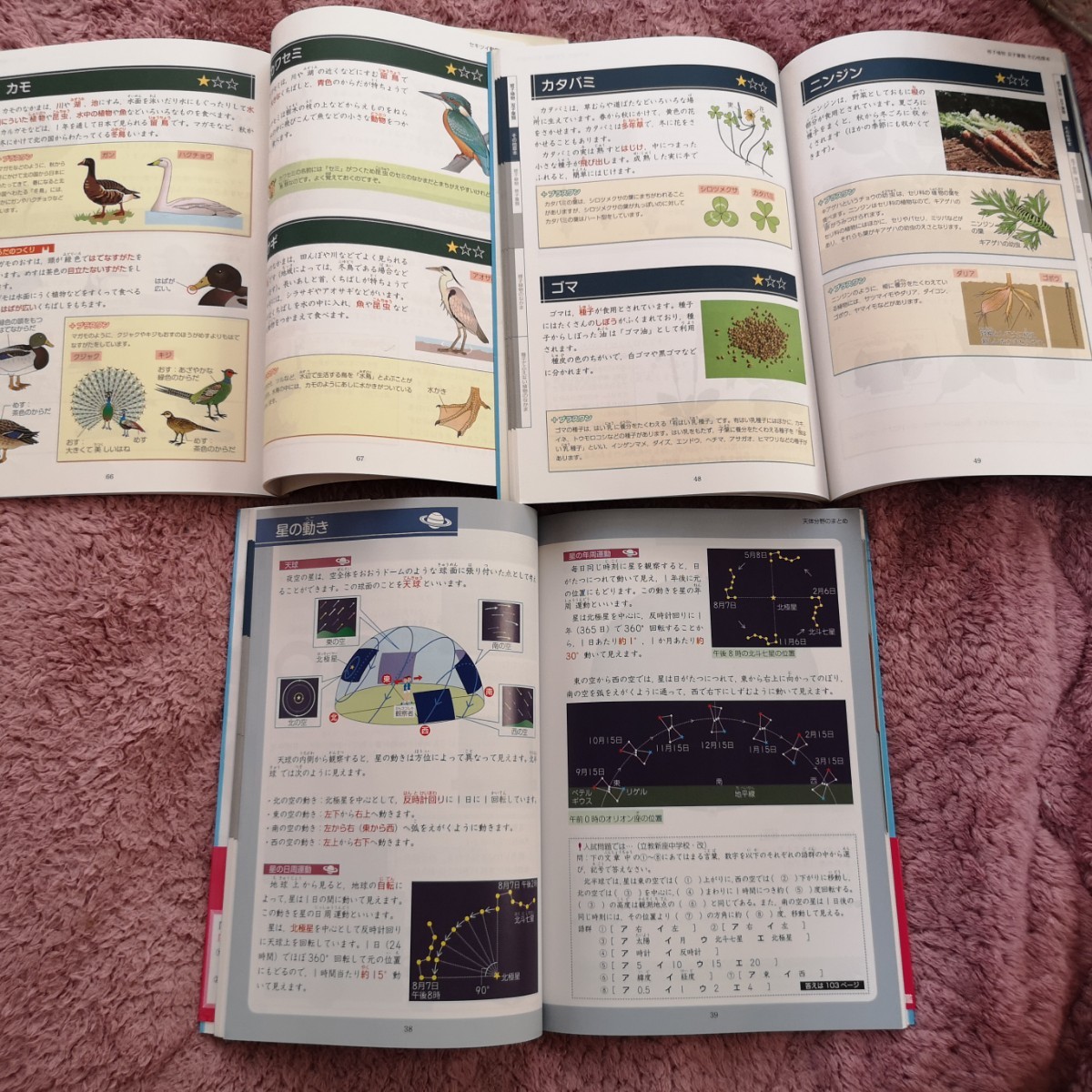 PayPayフリマ|入試に出る動物図鑑 植物図鑑 地球宇宙図鑑 暗記はこれだけ (Z会中学受験シリーズ) Z会指導部/編3冊セット PayPayフリマ|入試に出る動物図鑑 植物図鑑 地球宇宙図鑑 暗記はこれだけ (Z会中学受験シリーズ) Z会指導部/編3冊セット