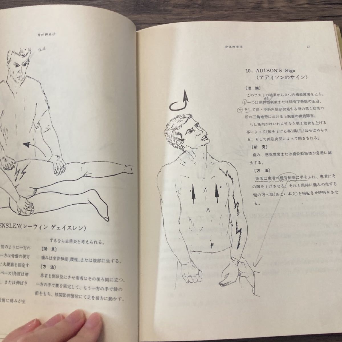 パーマー系カイロプラクティック 哲学・理論・テクニック 医学 パーマー系カイロプラクティック 哲学・理論・テクニック 医学
