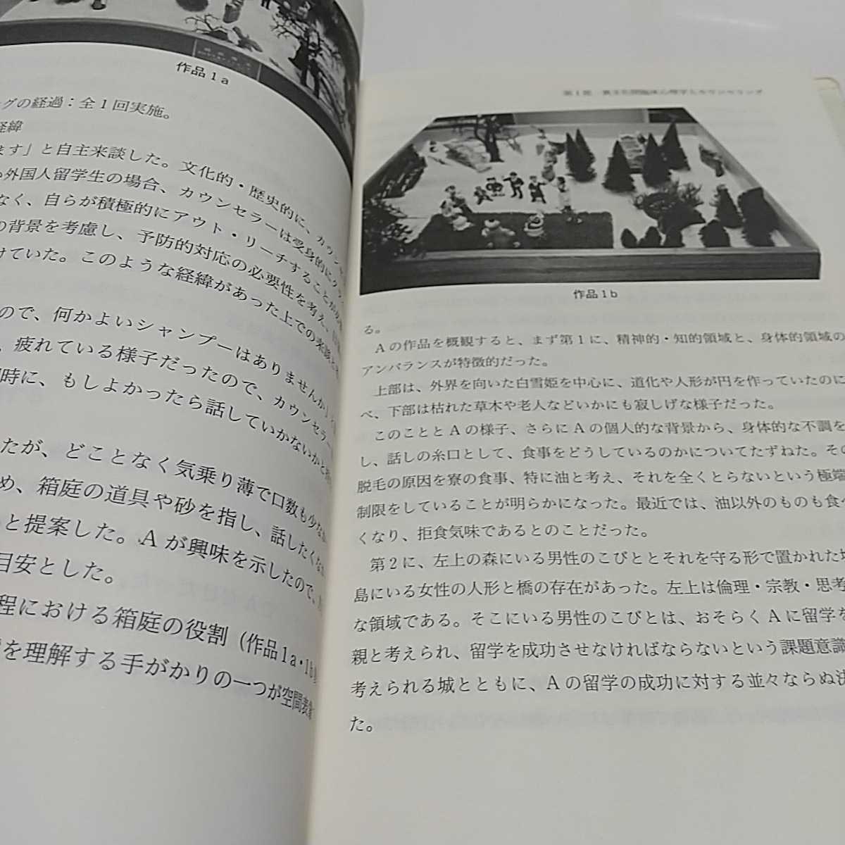 異文化間臨床心理学序説 井上孝代 多賀出版 1997年初版第1刷 ※カバー&頁によごれ有 中古 08501F005_画像9