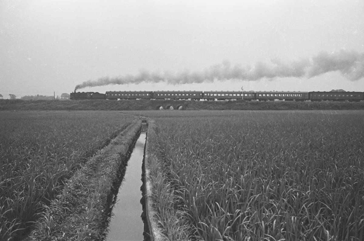 飾って楽しむ鉄道写真（去りゆく蒸気機関車：田川線 ） NO.63830045「田川線SL客車最後の日」_画像1