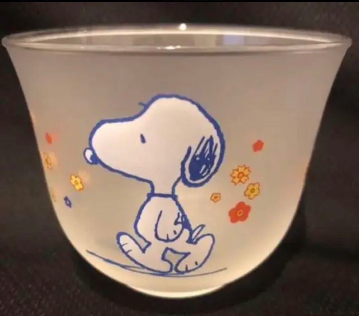 麦茶グラス・スヌーピーレトロ夏用グラス4客・冷茶グラス・そうめんつゆ・磨りガラス・SNOOPY