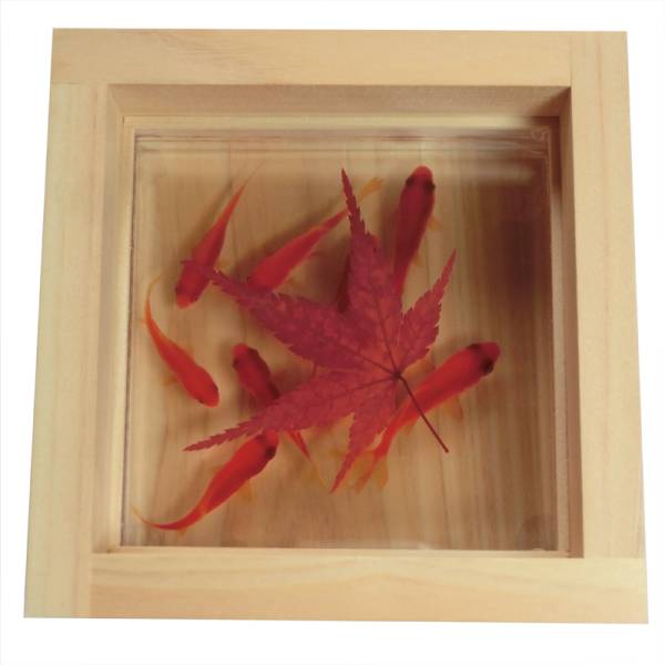 Золотая рыбная искусство "Саки x momiji/красный" Специальность чистые японские подарки сохранившиеся цветы Momiji 60 -летие празднование свадебного праздника Хиноки Смола Золотая рыбка