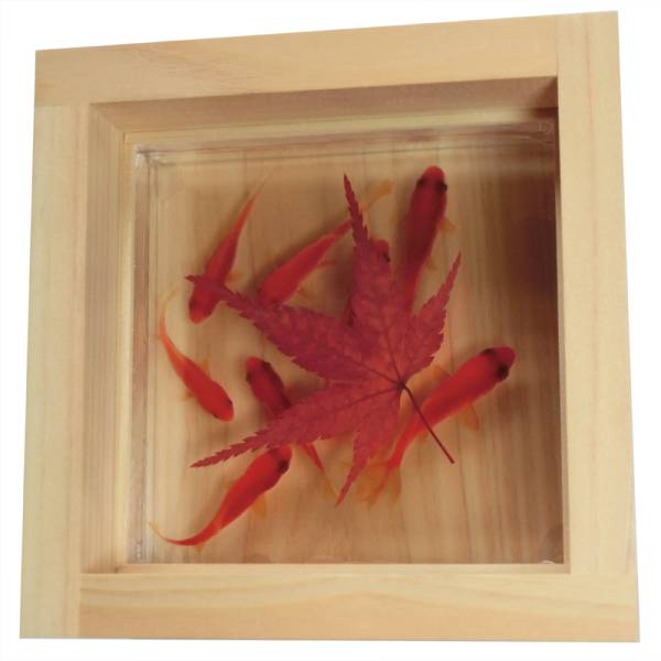  goldfish art [.× maple /.] prejudice. original made in Japan present attaching . preserved flower . leaf momiji