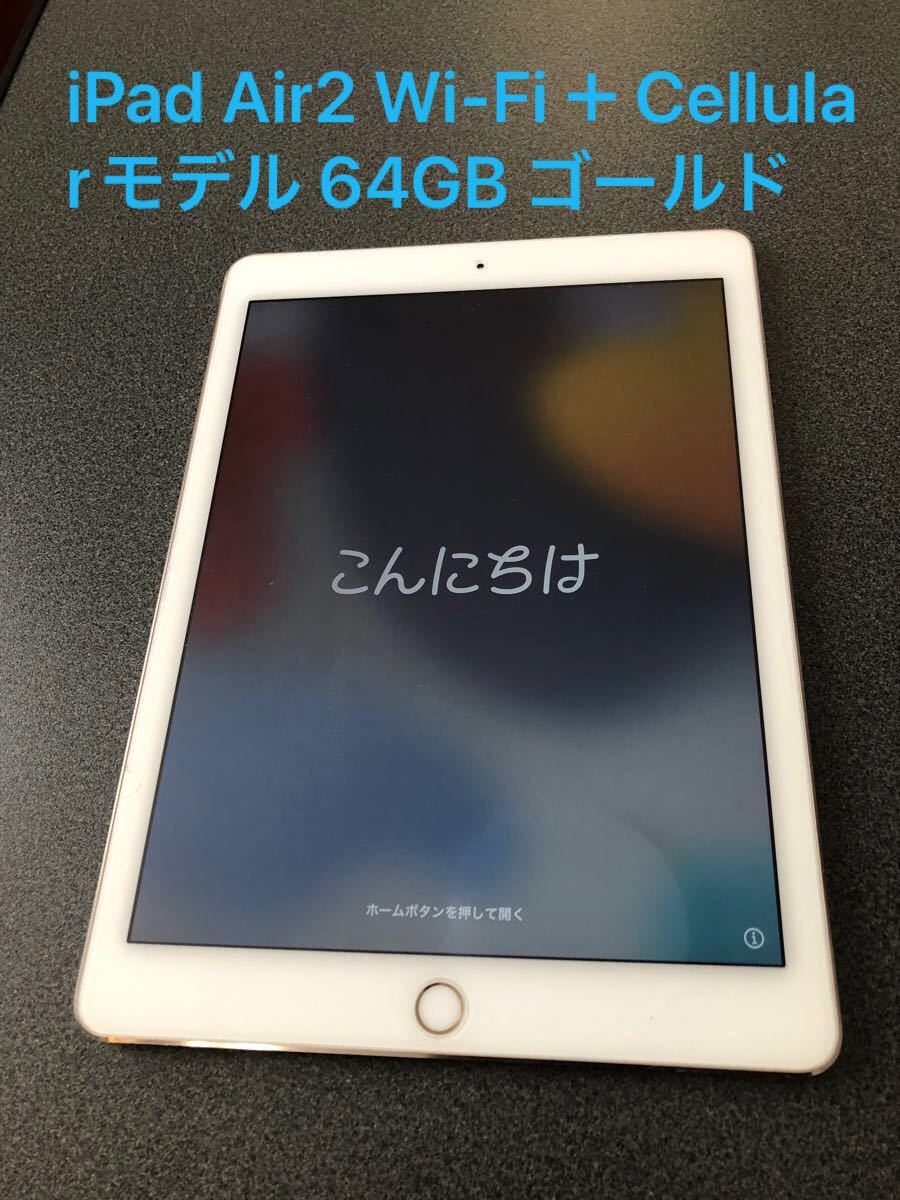 保存版】 iPad Air2 64GB Cellularモデル【豪華特典付き】 www